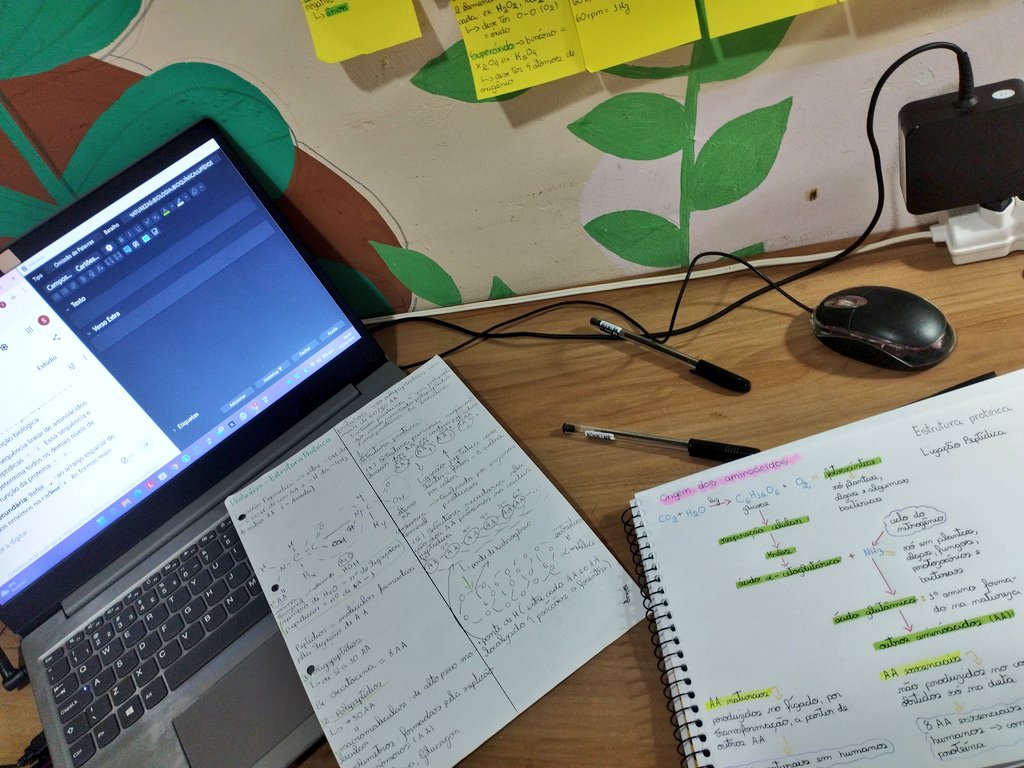 alice__med's tweet image. Vou aproveitar o feriado pra meter 12h+ de estudo. 

#study #studytwt