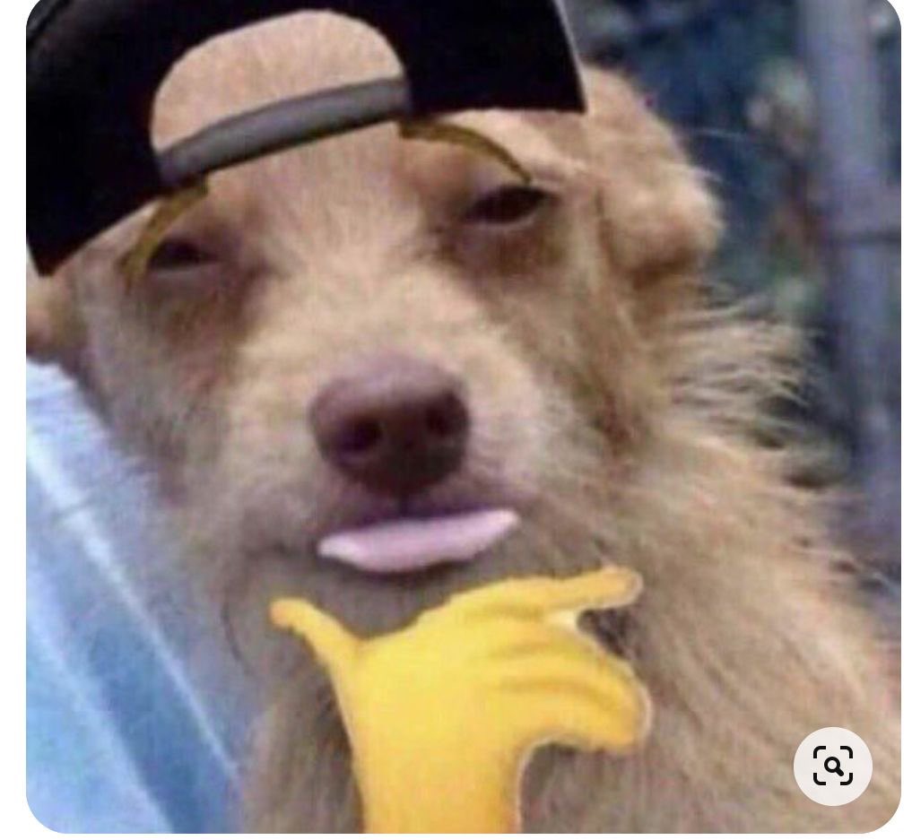 go (@exotic_jpn) on Twitter photo 