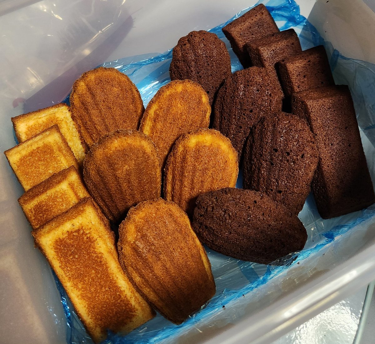 紫陽花みつき💎🐈‍⬛📘 tweet media