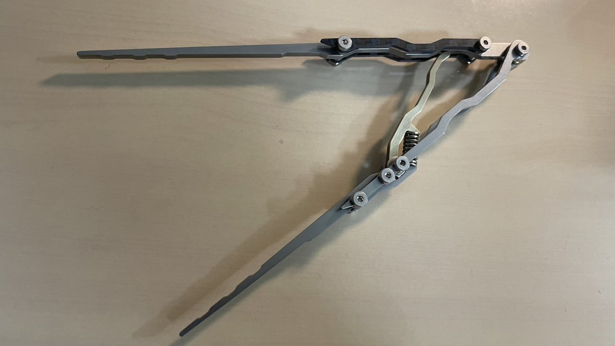 たちごけラボ tweet media