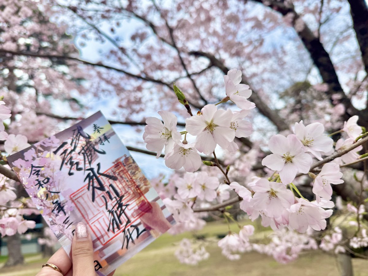 _mamiruco_'s tweet photo. 先月のぱすぱすとの埼玉🚃
ほぼ群馬の埼玉厄除け大師からスタート！
切り絵御朱印発祥の地✨というだけあってとても綺麗🥰
月替わり御朱印は直書きしていただきました！
そこから東大宮まで行き、武蔵一ノ宮氷川神社へ✨大宮公園を通ったけど桜が綺麗で春を感じることができました🌸 https://t.co/hzG1R0X73b