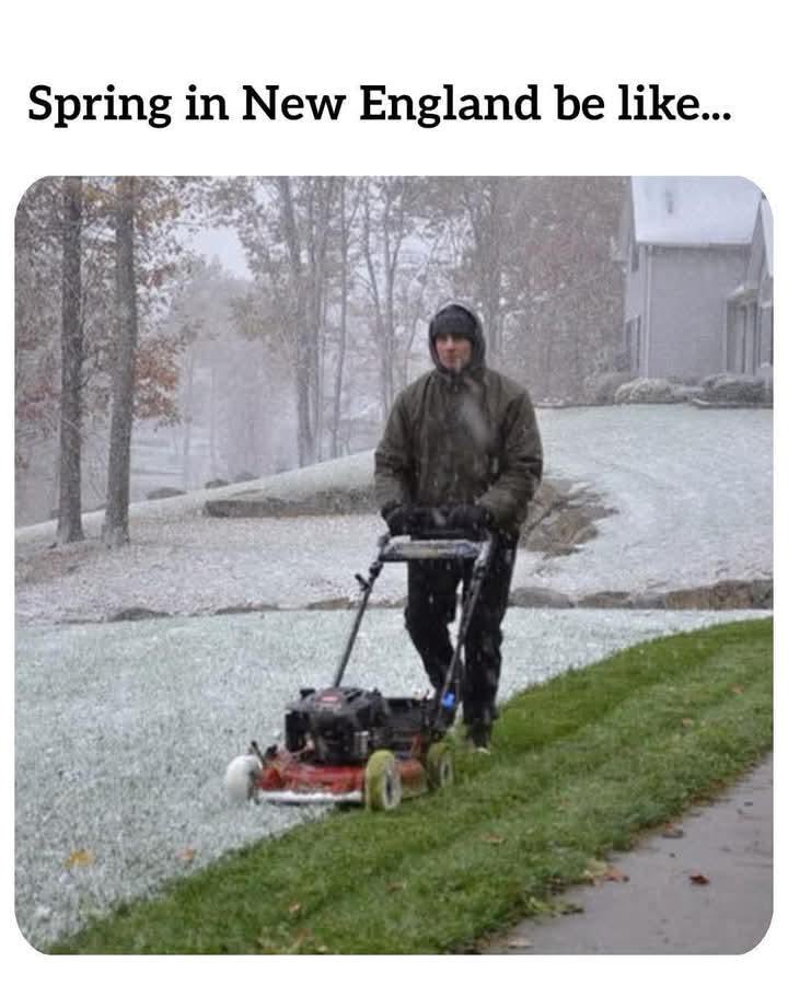 Cenzo Boom Boom 🇮🇹🇺🇸 tweet media