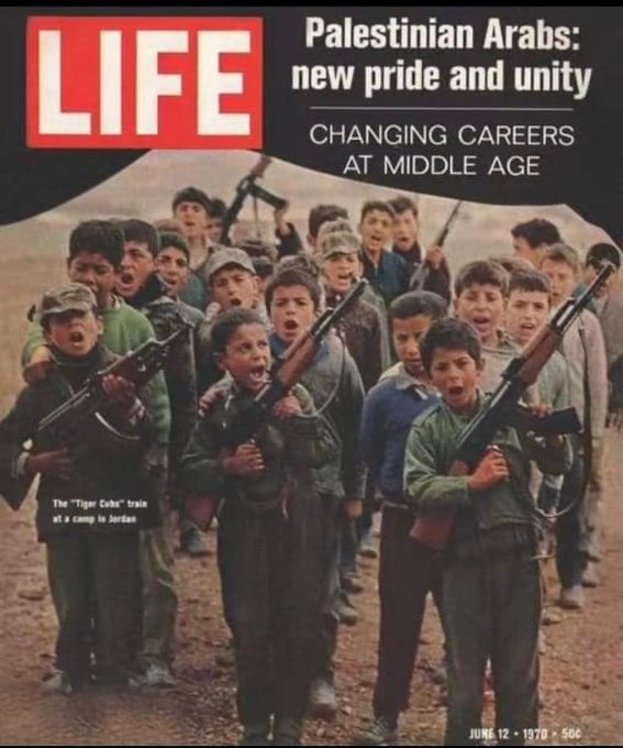 gerlinde tweet media