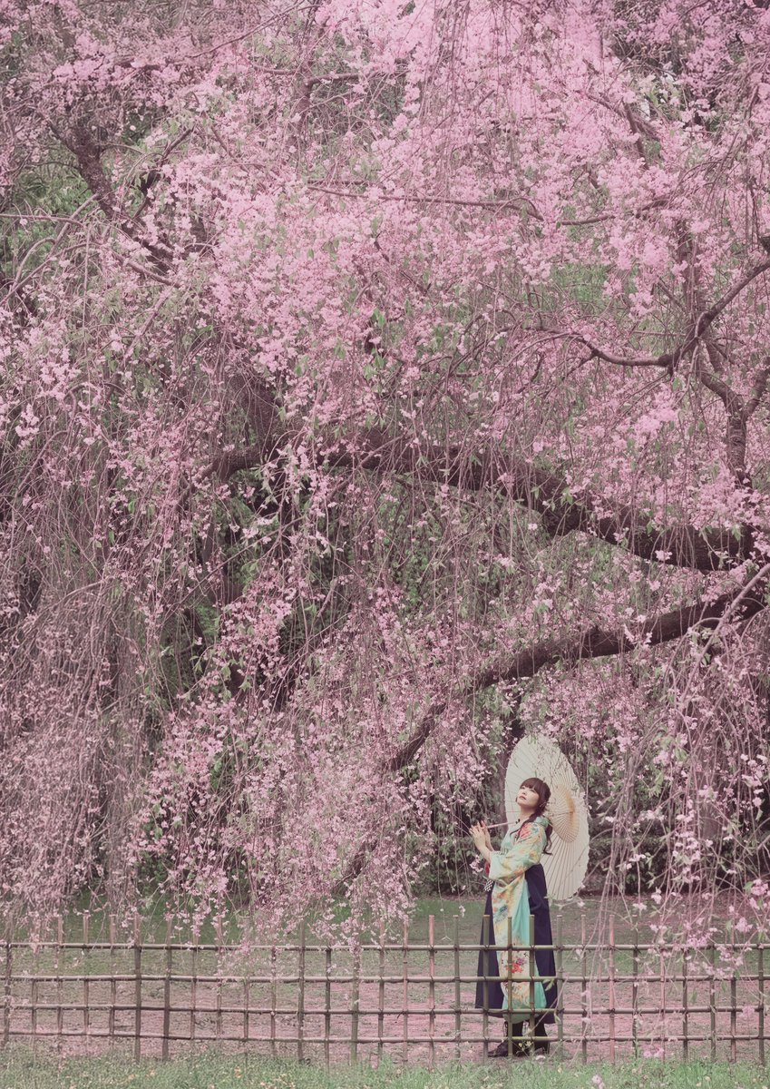 かえたろう tweet media