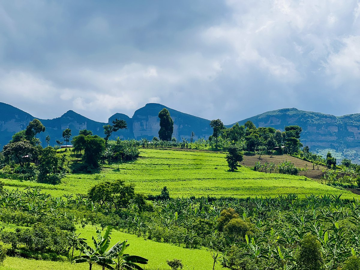 HarryFrames's tweet photo. Beautiful NAMISINDWA Hills⛰️🤗
#nature #mbale #harryframes https://t.co/HjKm8mDyZo