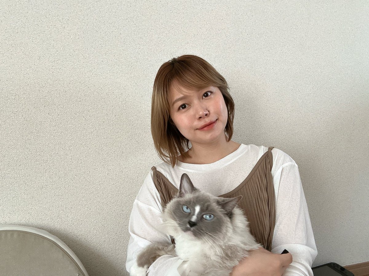 MICO（ライブ活動休止中） tweet media