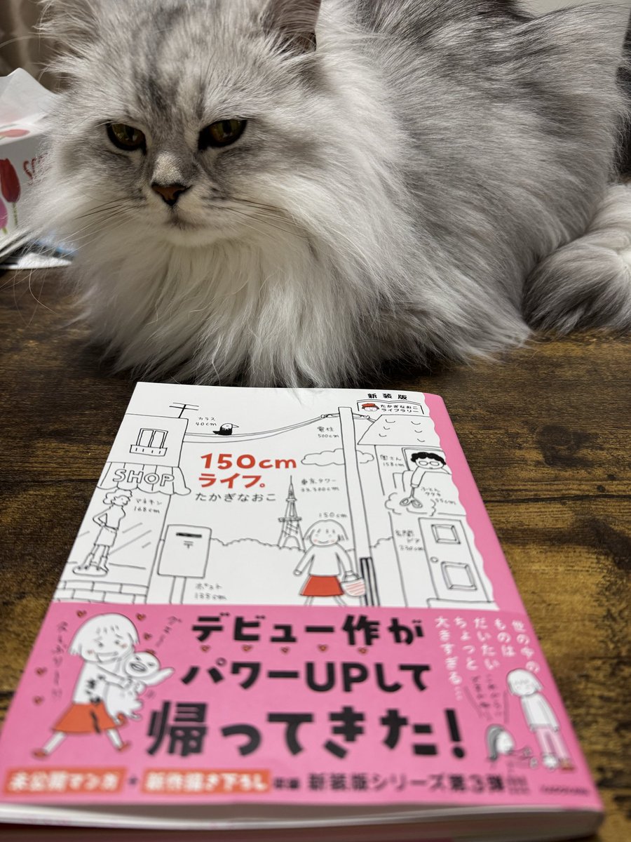 mo_ma21's tweet photo. @TakagiNaoko 今日届きました💕
読むのが楽しみです！
デビュー作を購入していなかった私は何をしていたのでしょう😢新装版が発売されてよかったです❤️ https://t.co/T4gs6qme3H