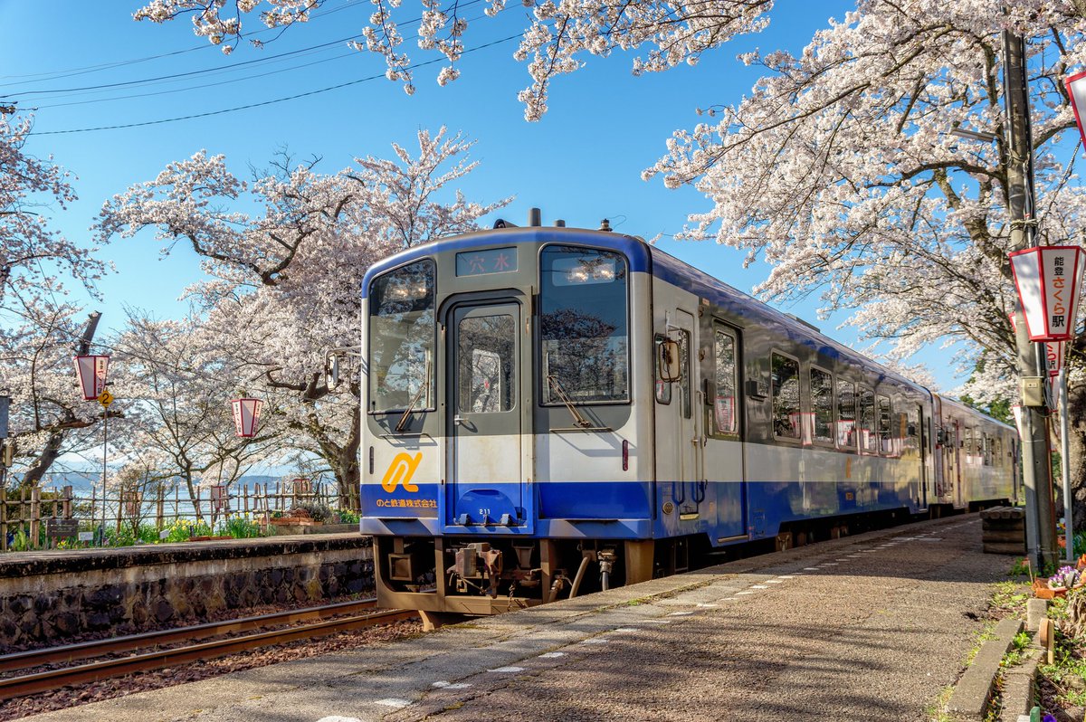 シュウ tweet media