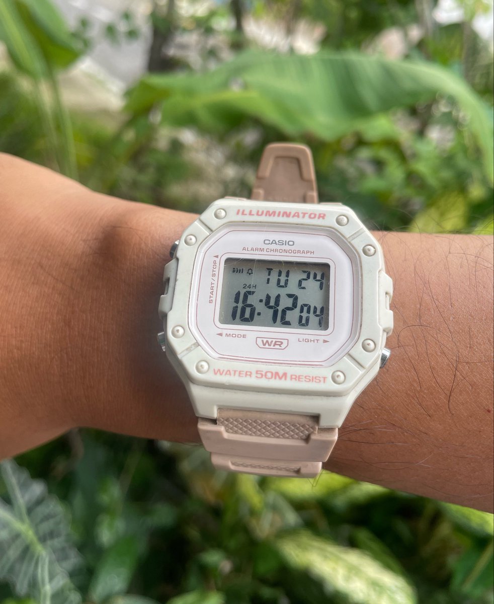 ▁ ▂ ▃ ▄ ▅ ▆ ▇ █ ▉ ▊ tweet media