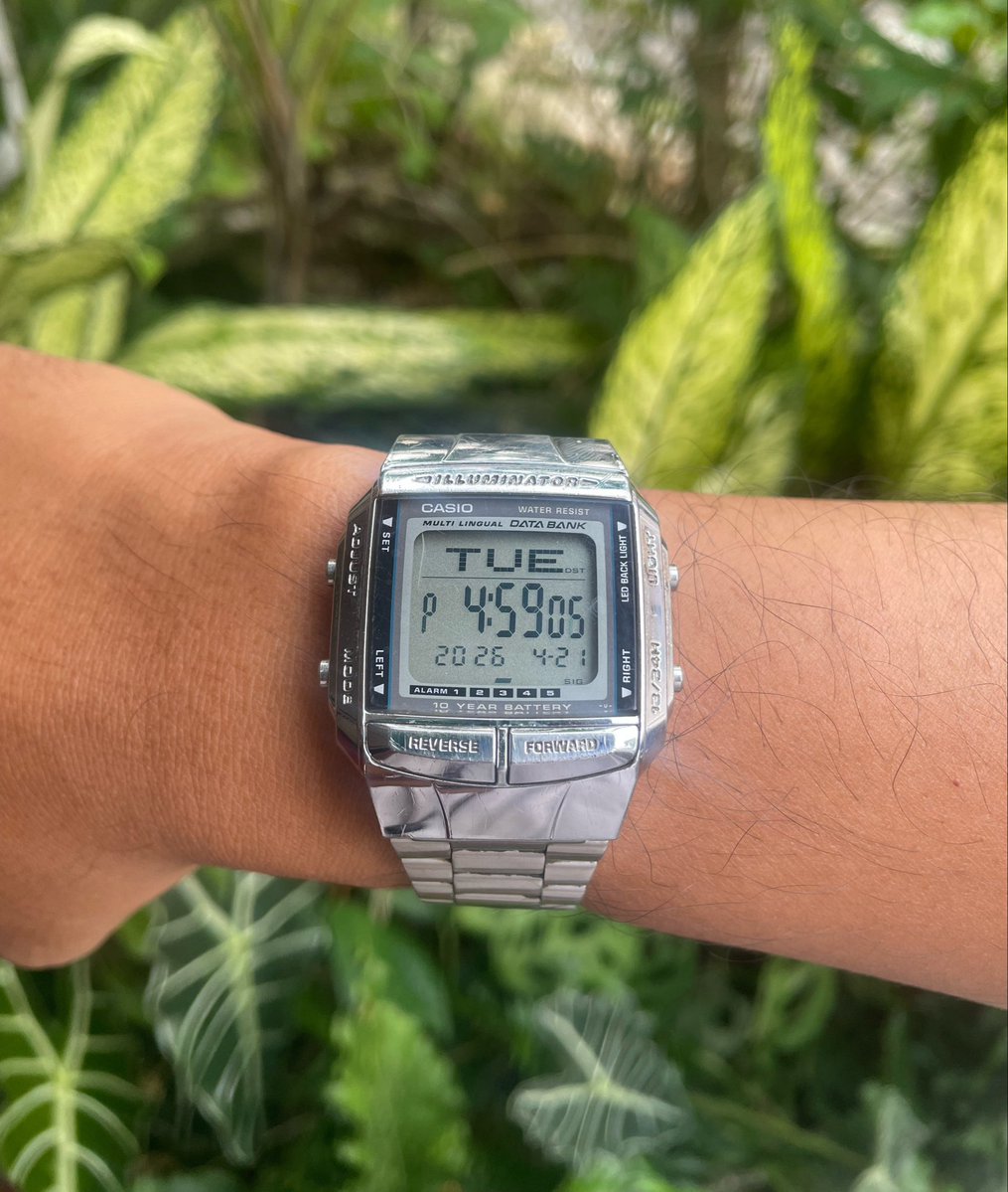 ▁ ▂ ▃ ▄ ▅ ▆ ▇ █ ▉ ▊ tweet media