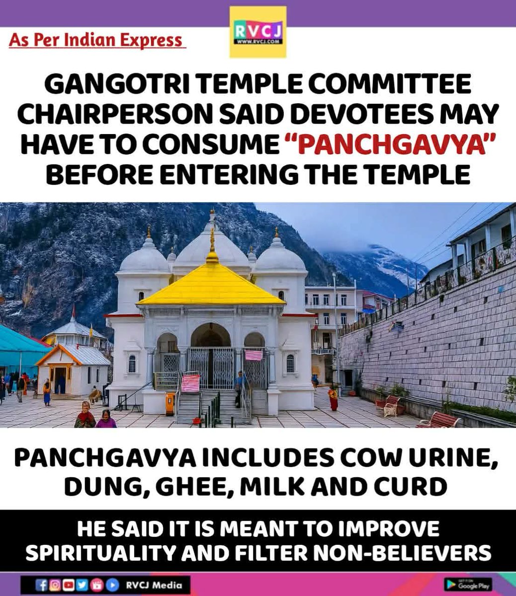 RVCJ Media tweet media