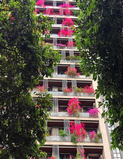 熊猫指南PandaGuide tweet media