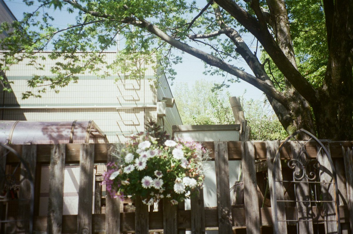 ファーストロール