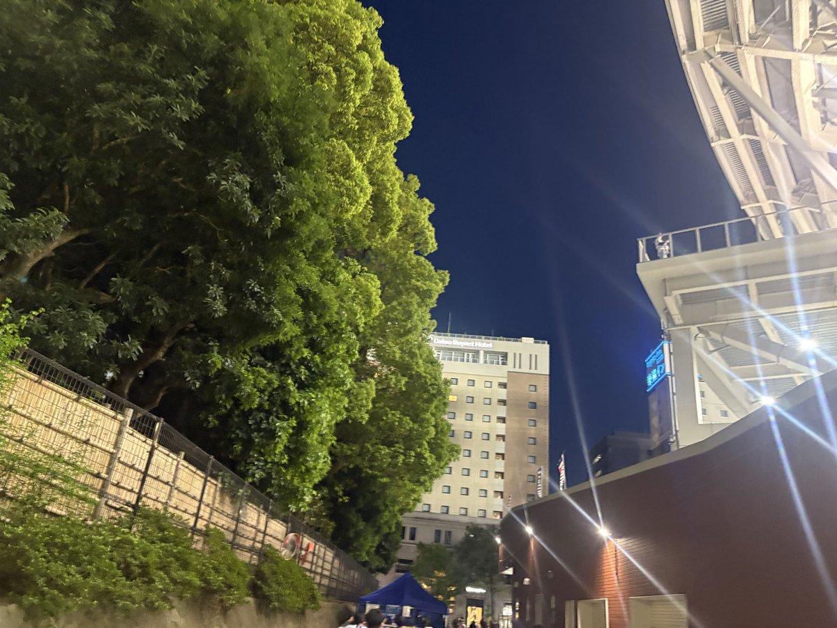 pippy045(ぴっぴ) tweet media