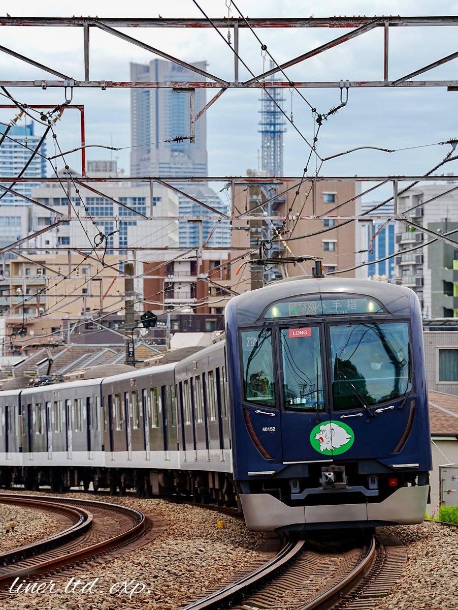 ライナー特急 tweet media