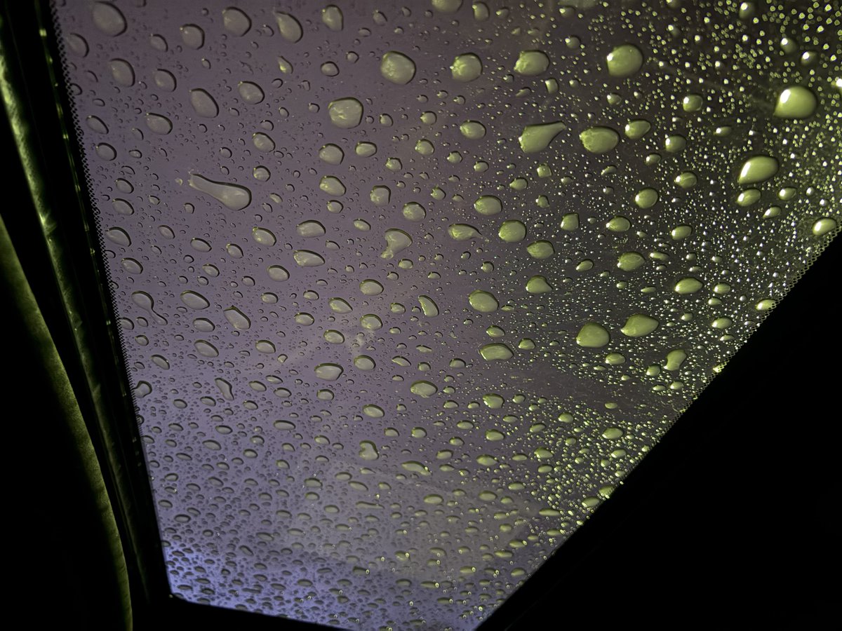 ともちゅー tweet media