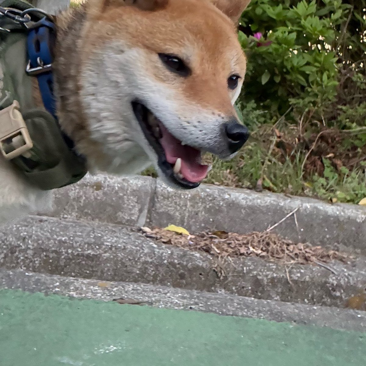 ゆいたゃ。 tweet media