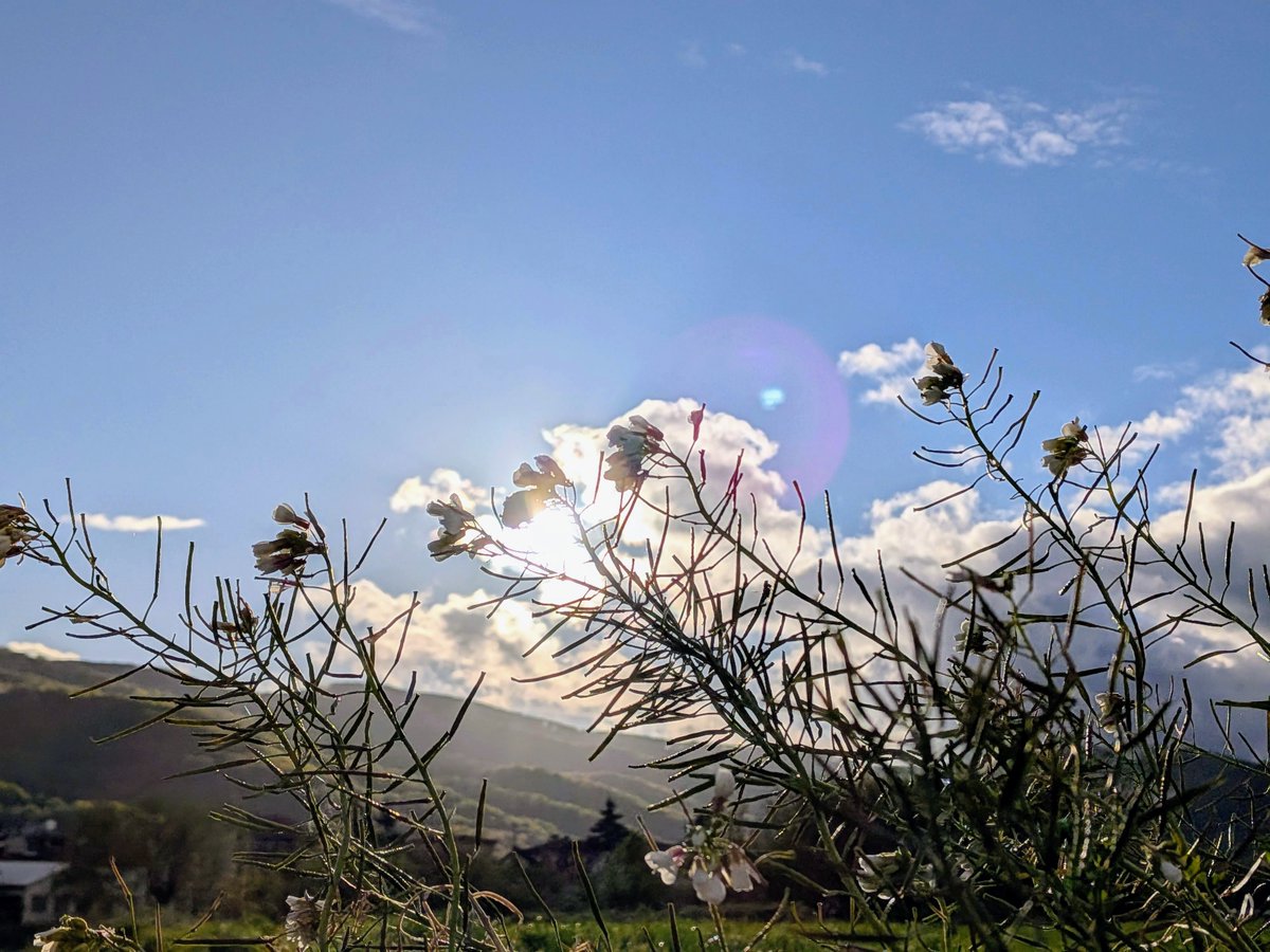 blanquielg's tweet photo. #FelizMartes De paseo por #Alsasua #Navarra #España https://t.co/4rcpAuBiH4
