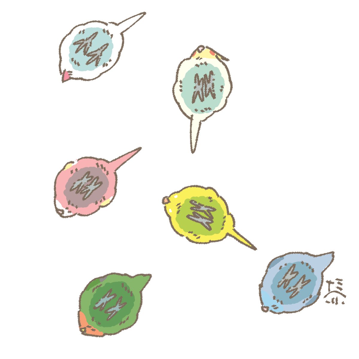 なみへい🦜鳥ﾌｪｽ名古屋5/4在廊 tweet media