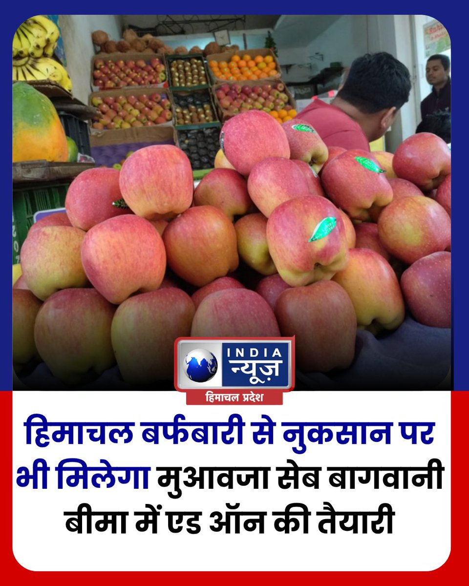indianewshp's tweet image. हिमाचल के बागवानों के लिए राहत भरी खबर है। अब बर्फबारी से होने वाले नुकसान पर भी मुआवजा मिल सकेगा। सरकार सेब बागवानी को बीमा योजना में एड-ऑन के रूप में शामिल करने की तैयारी कर रही है, जिससे किसानों को बड़ा सहारा मिलेगा।
#HimachalNews #AppleFarming #InsuranceScheme #FarmersRelief
