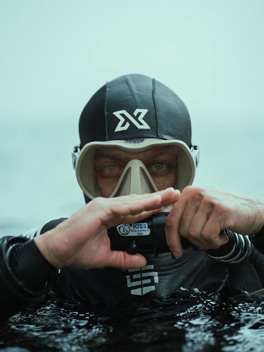 LoS-Scuba tweet media