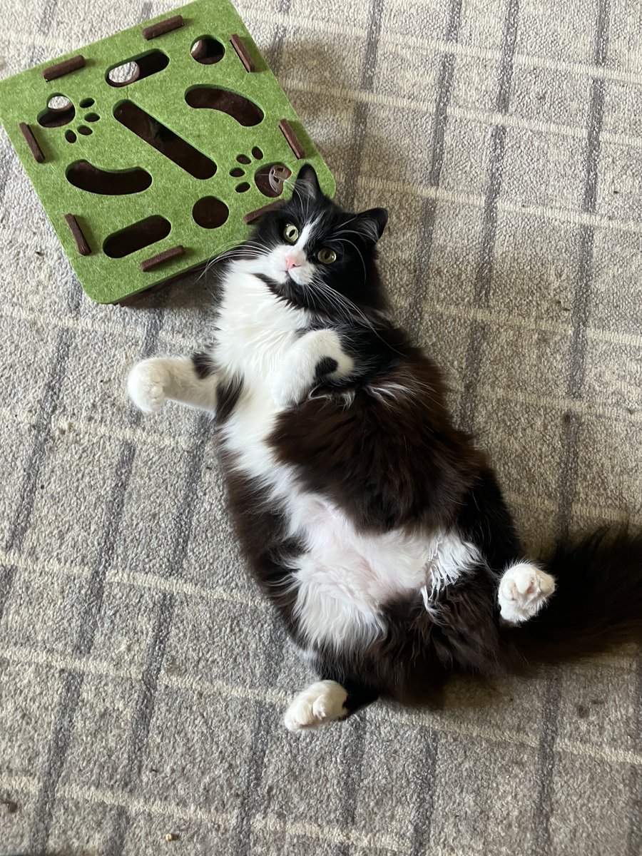 жолудевий миш🍂 tweet media