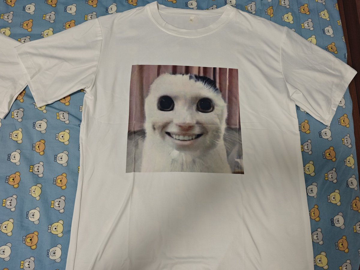 红尘飞 tweet media