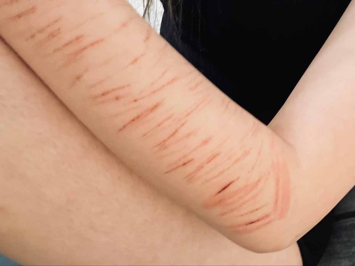 ♡ྀི‧₊˚ 𝓙𝓾𝓵𝔂•^ tweet media