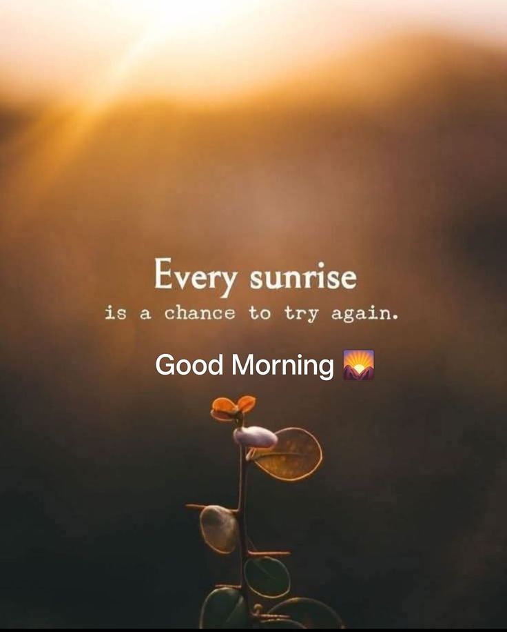 renew_lporter08's tweet image. Good morning, lovelies! There is always a blessing in disguise in every situation. Something far greater always comes out of moments that test you. Keep going. Keep rising. Keep believing. #GoodMorning #Motivation #Blessing