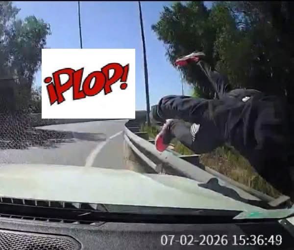 Pepe The King Prawn tweet media