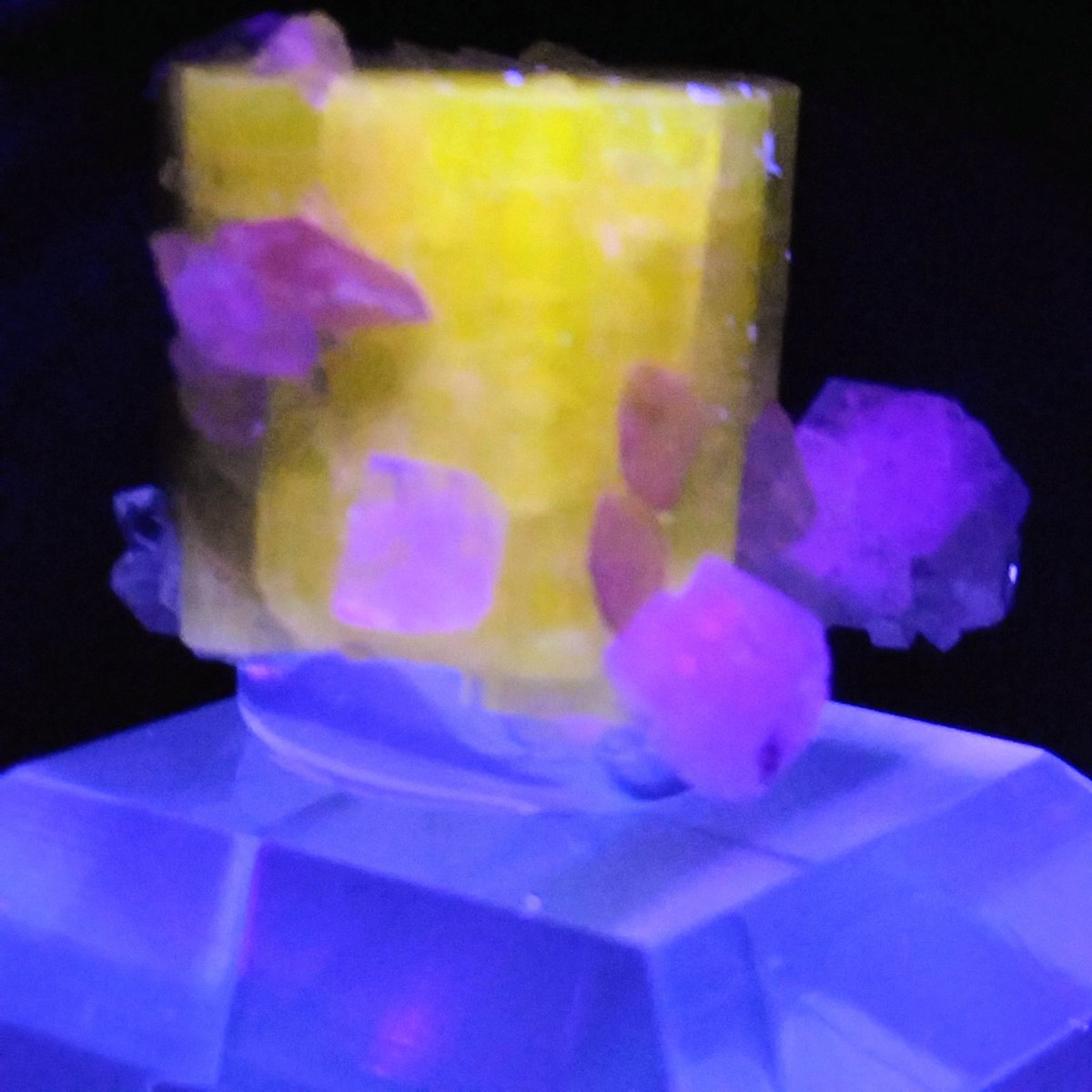 💎クリスタルワークス💎 tweet media