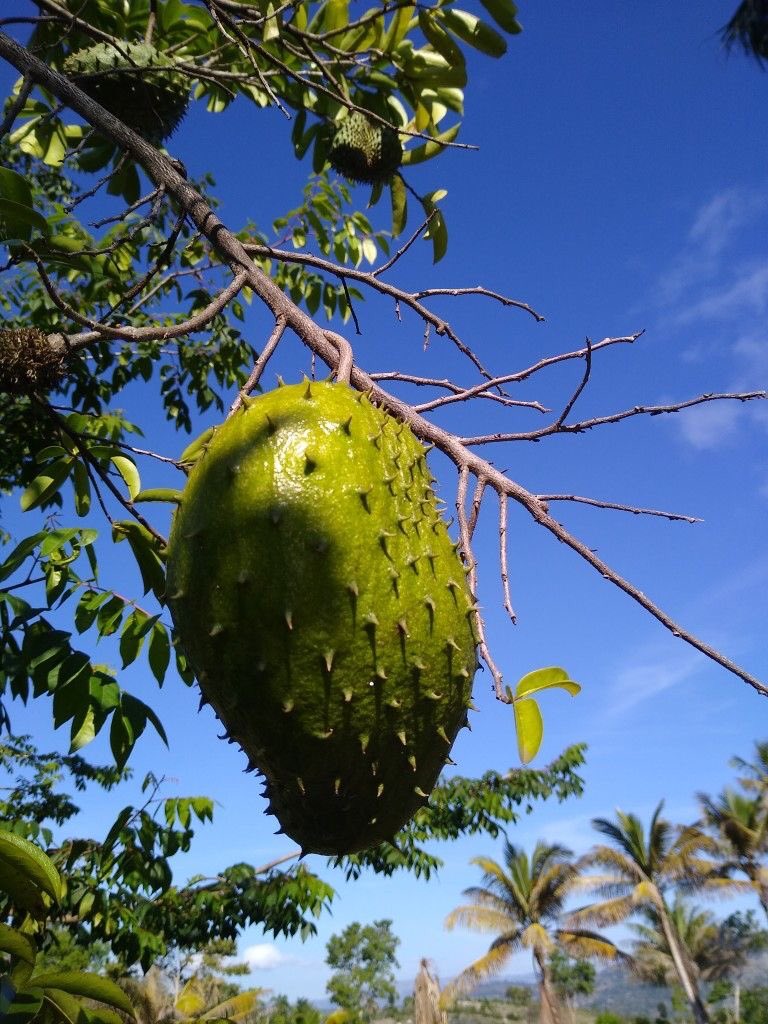 Eat Simple tweet media