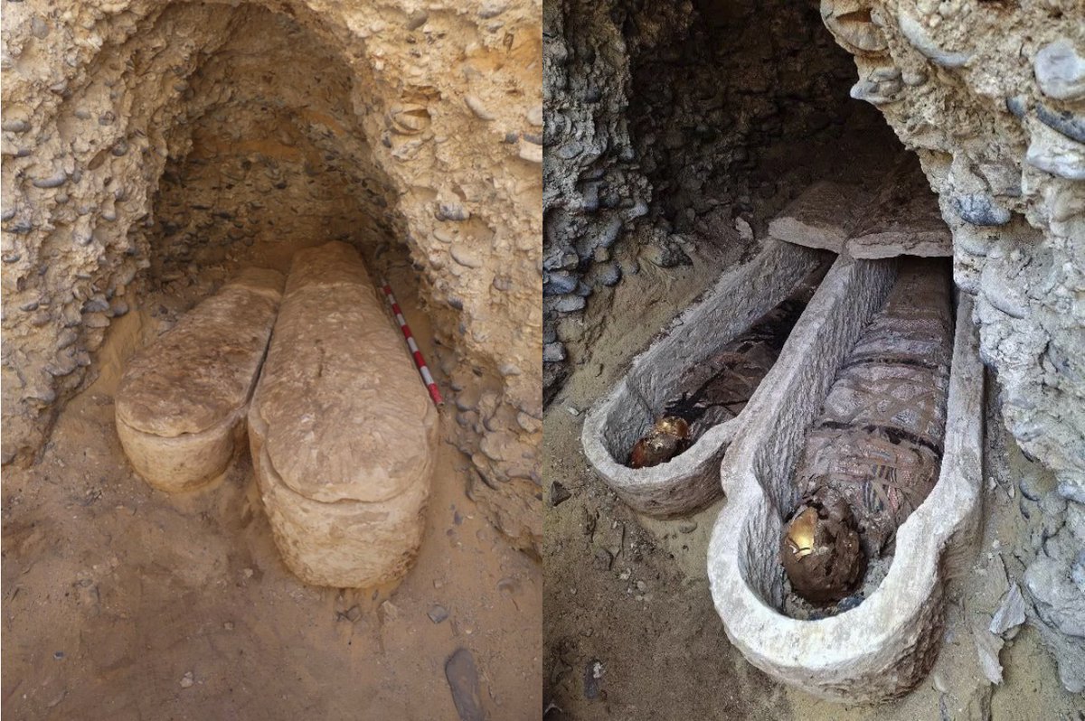 ActuaLitté tweet media