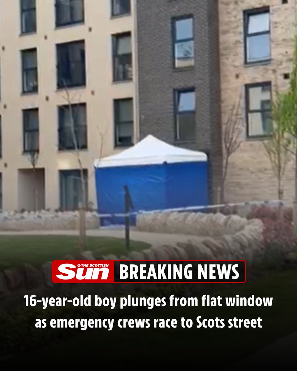 The Scottish Sun tweet media