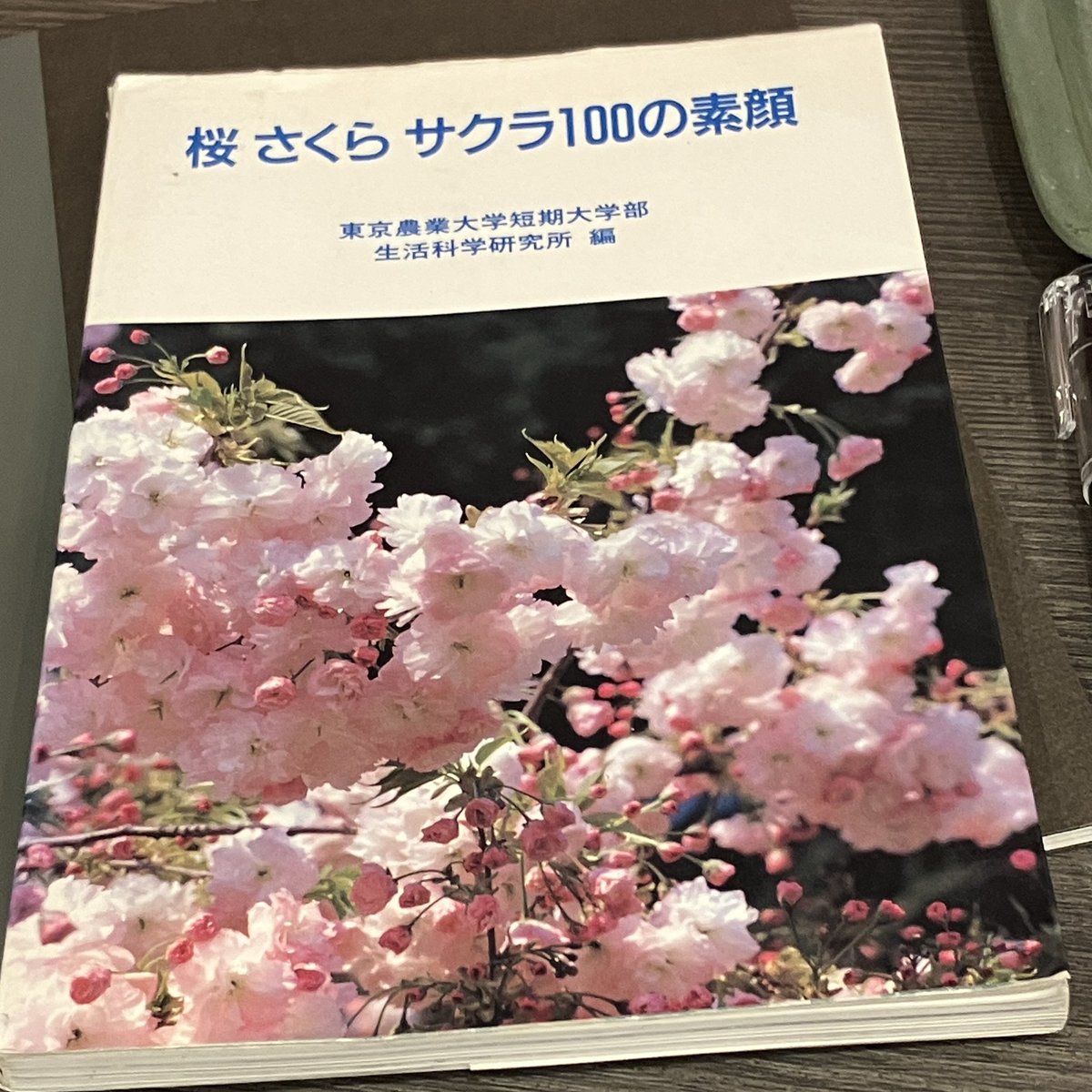 LapisMoon/製作告知用アカウント tweet media