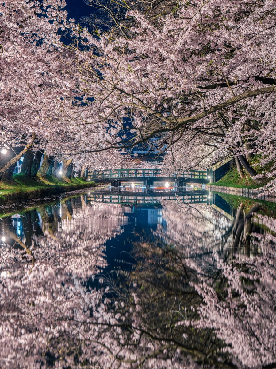 たけ / Photographer tweet media