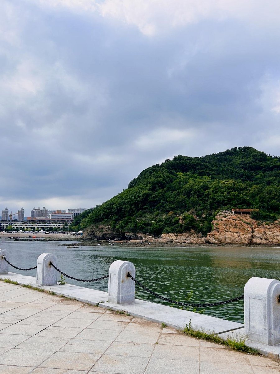 kgokul15's tweet image. Sunrise hike + coastal brunch = perfect weekend escape.  Spotted a pod of dolphins mid-trail—nature’s little bonus! #Wanderlust #CoastalVibes