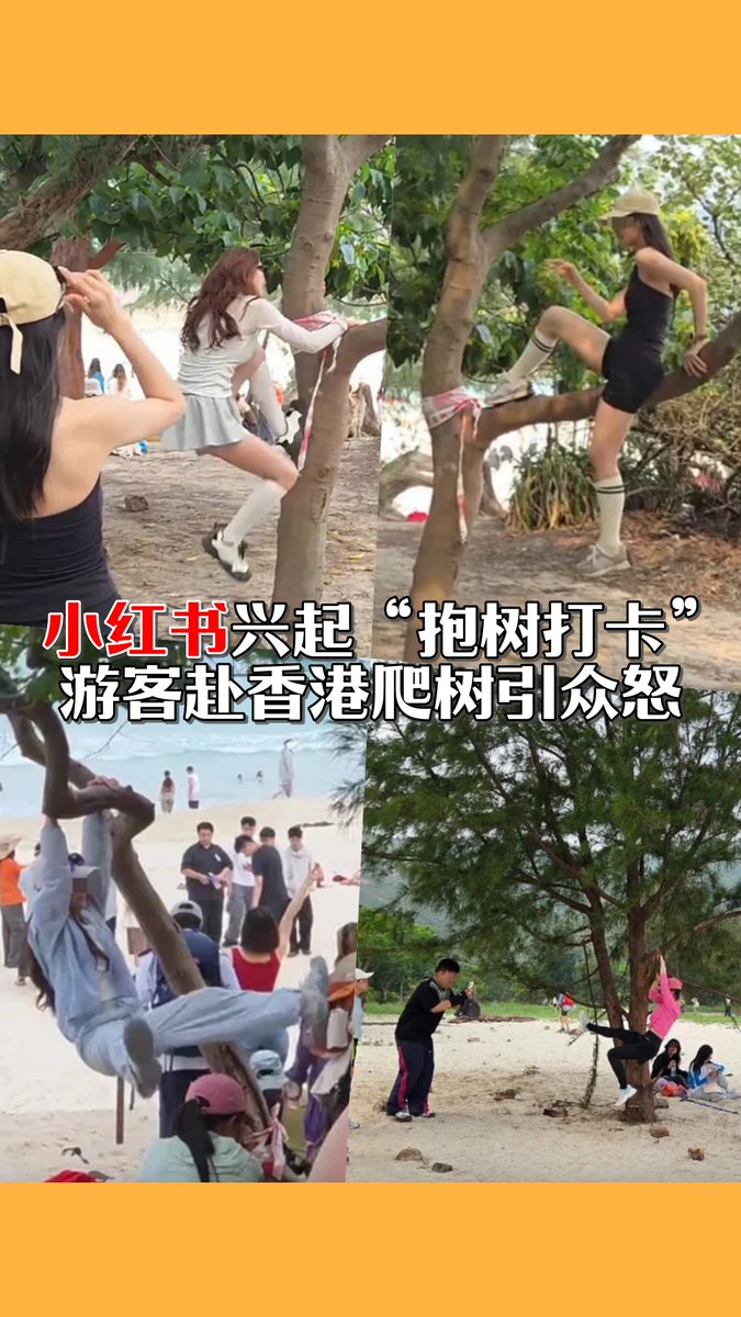 ODNMalaysia's tweet photo. 【小红书兴起“抱树打卡”　游客赴香港爬树引众怒】

《小红书》兴起“抱树打卡”热潮，有中国游客近日（19日）无视安全警示，在香港西贡浪茄攀爬树木、躺在树枝上拍照，甚至导致部分树枝折断、树木倒塌，引发现场人士不满。

#东方日报 #HongKong #China #TreeHug #Hug #Tree https://t.co/wSq2zA6cyE