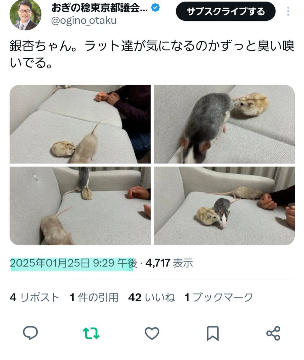 ポーチャ tweet media