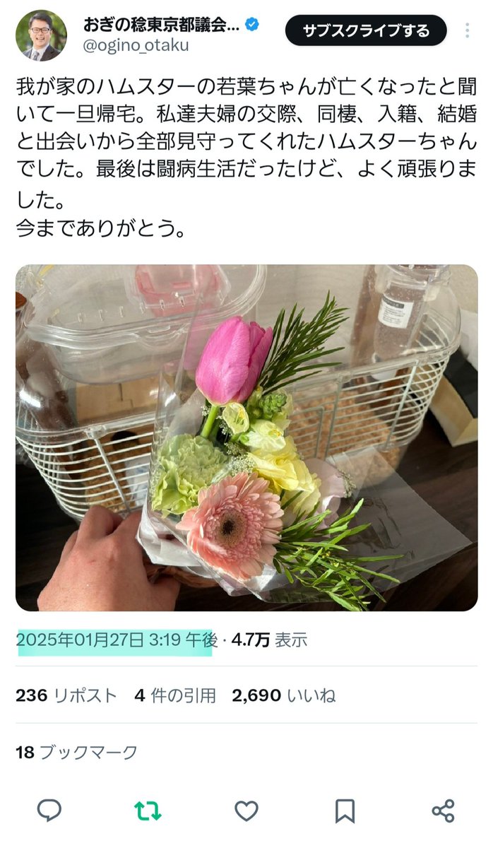 ポーチャ tweet media