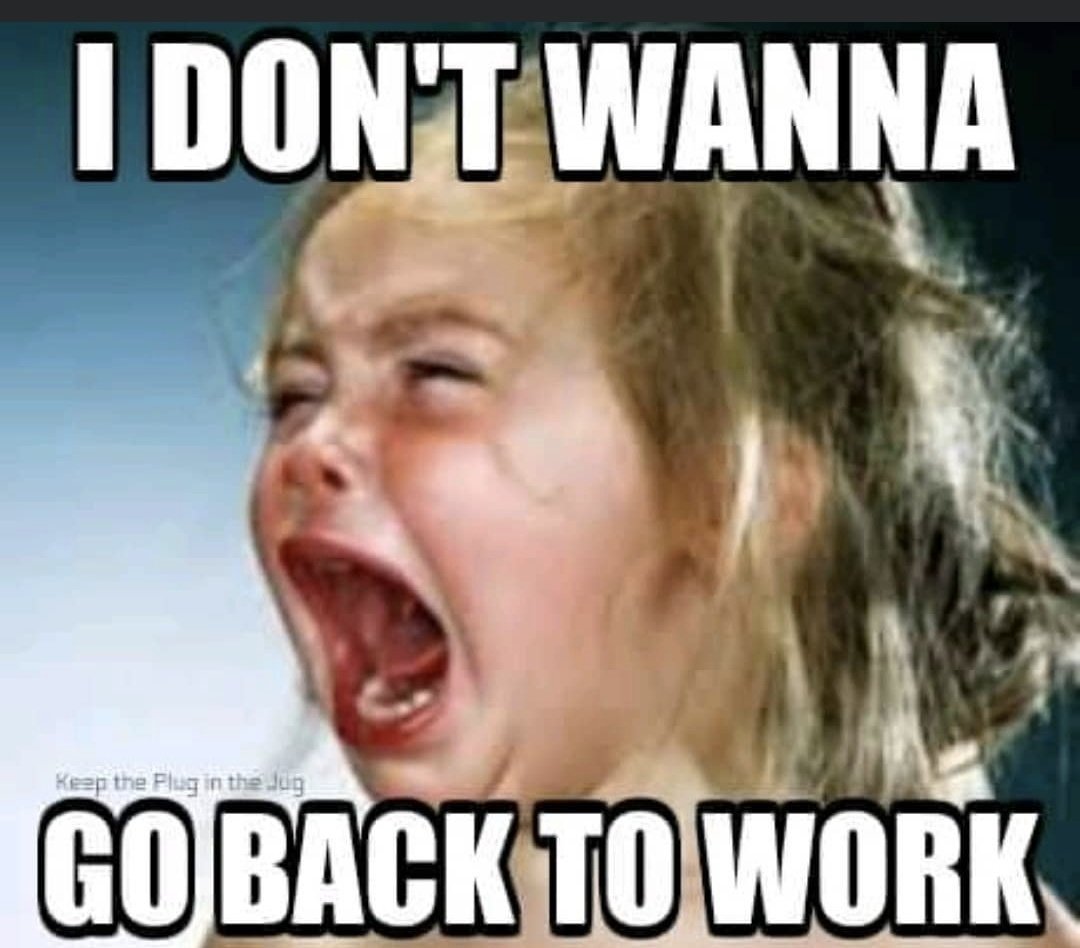 🇺🇸 Oh Hey It's Me ❤🤍💙 tweet media