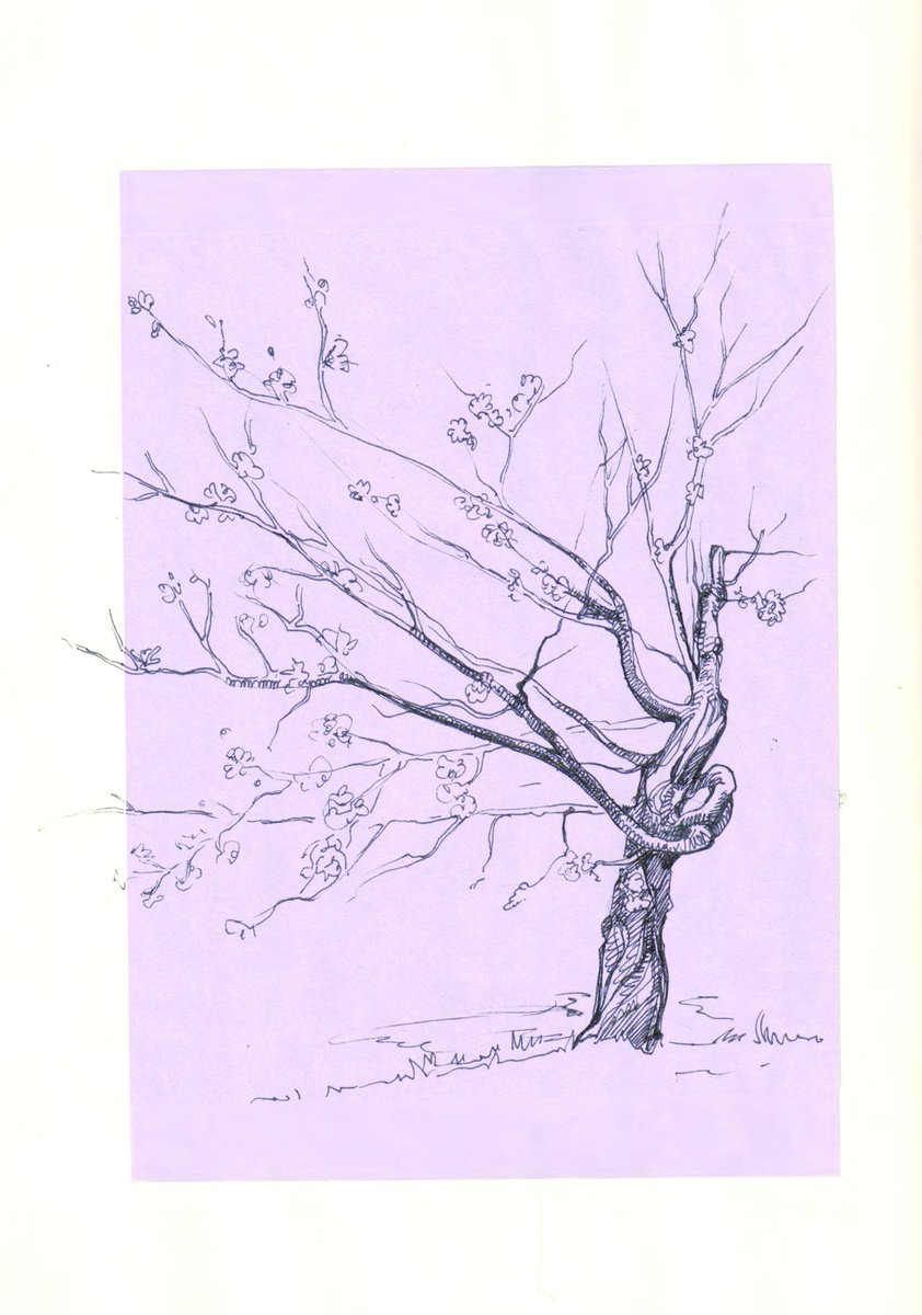 blida_veselka's tweet image. Дерево.

Ще дерево.

#украрт #sketchbook