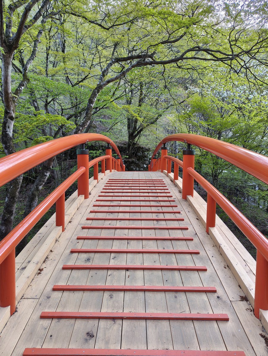 ２月に新しくなったそうで

滑り止めの木はリニューアル前のをそのまま使ってるみたいだった

どんどん年季が入って黒くなるのが楽しみ