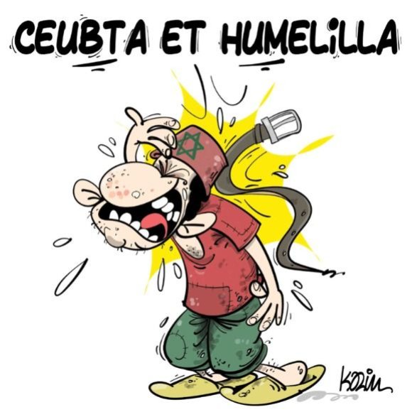 Le Soir d’Algérie tweet media
