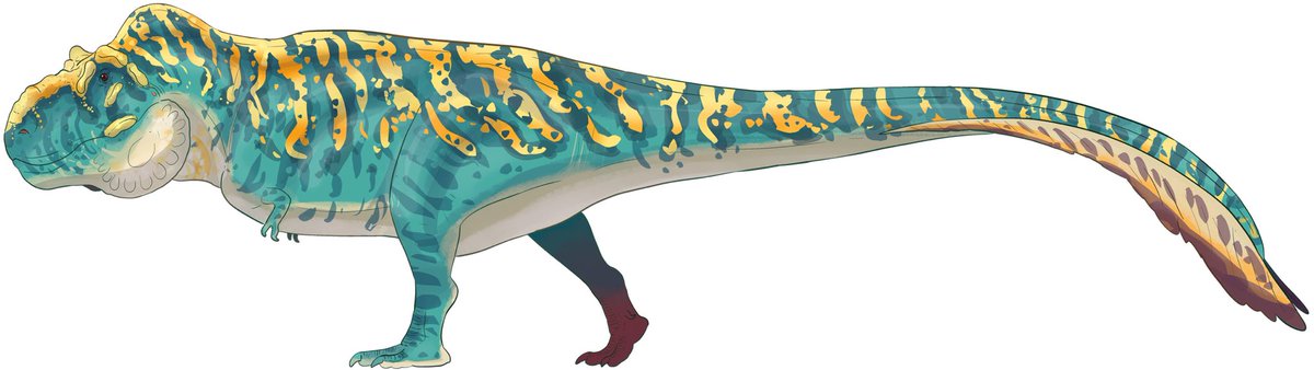 CEO of Lilligants tweet media