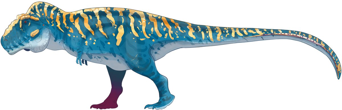 CEO of Lilligants tweet media