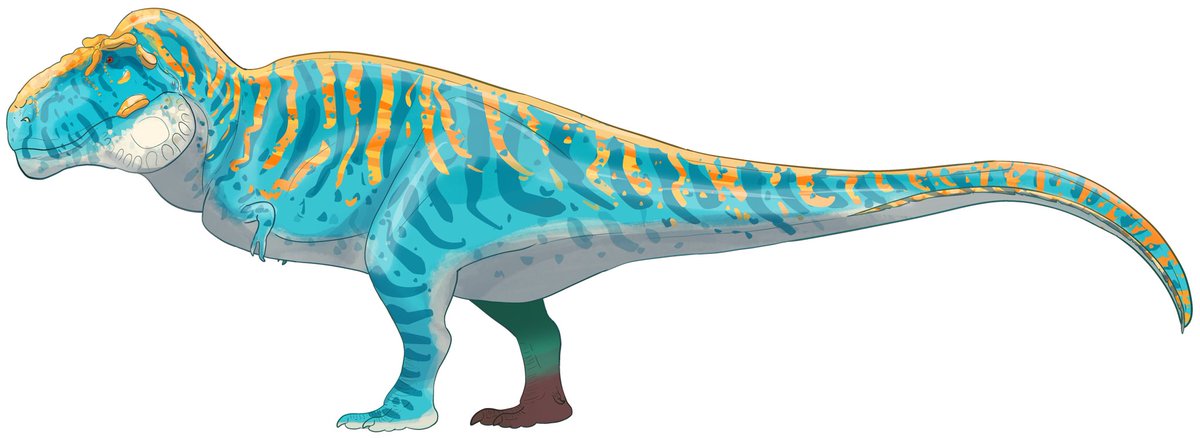 CEO of Lilligants tweet media