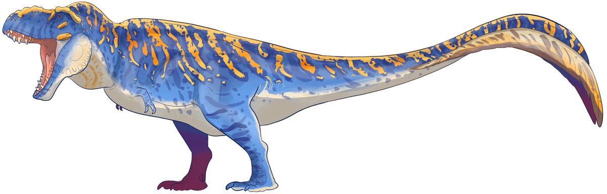 CEO of Lilligants tweet media