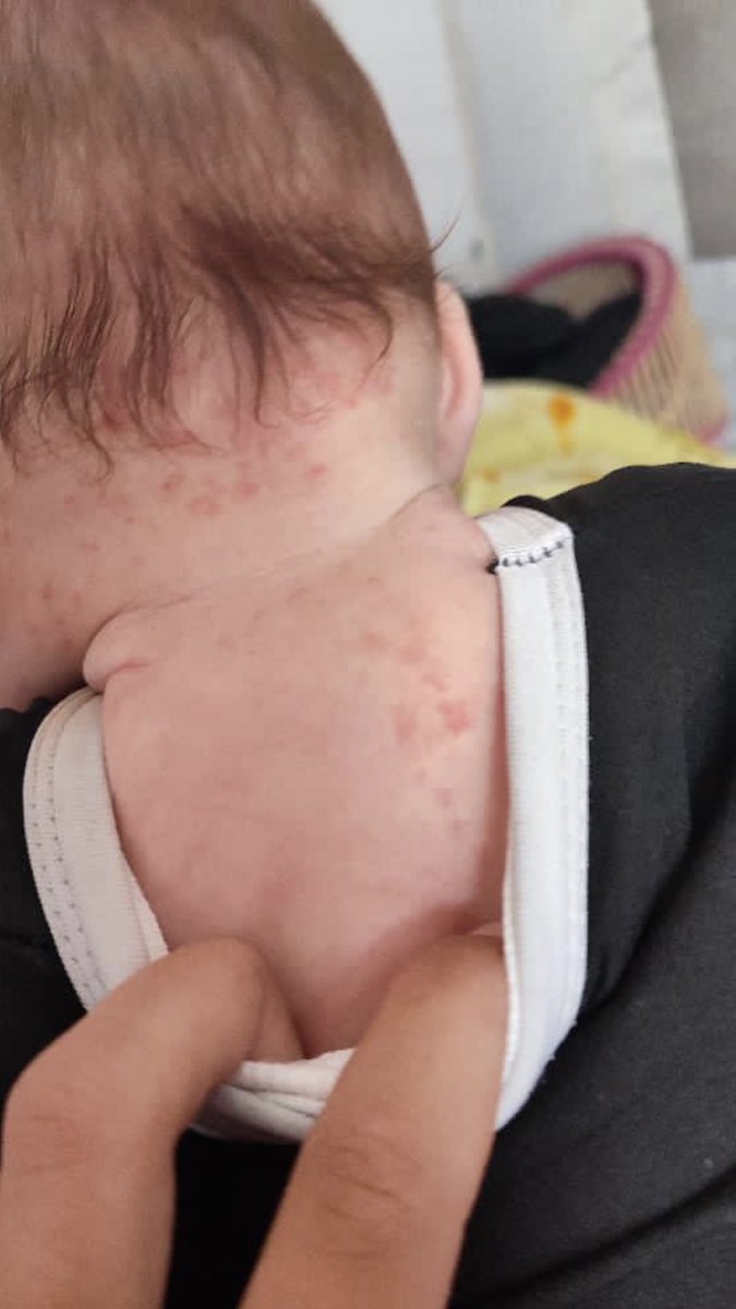 آلماسة💎𓂆 tweet media