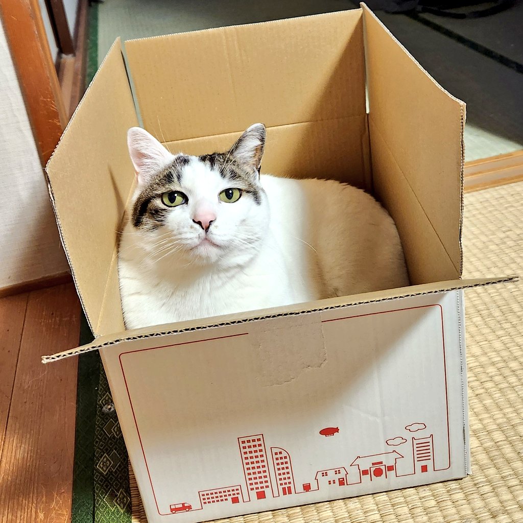 深谷陽 tweet media